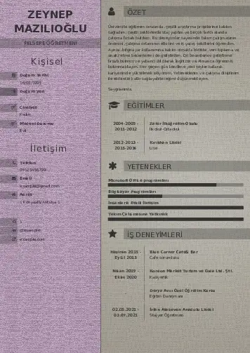 Felsefe Öğretmeni CV Örnekleri cv indir